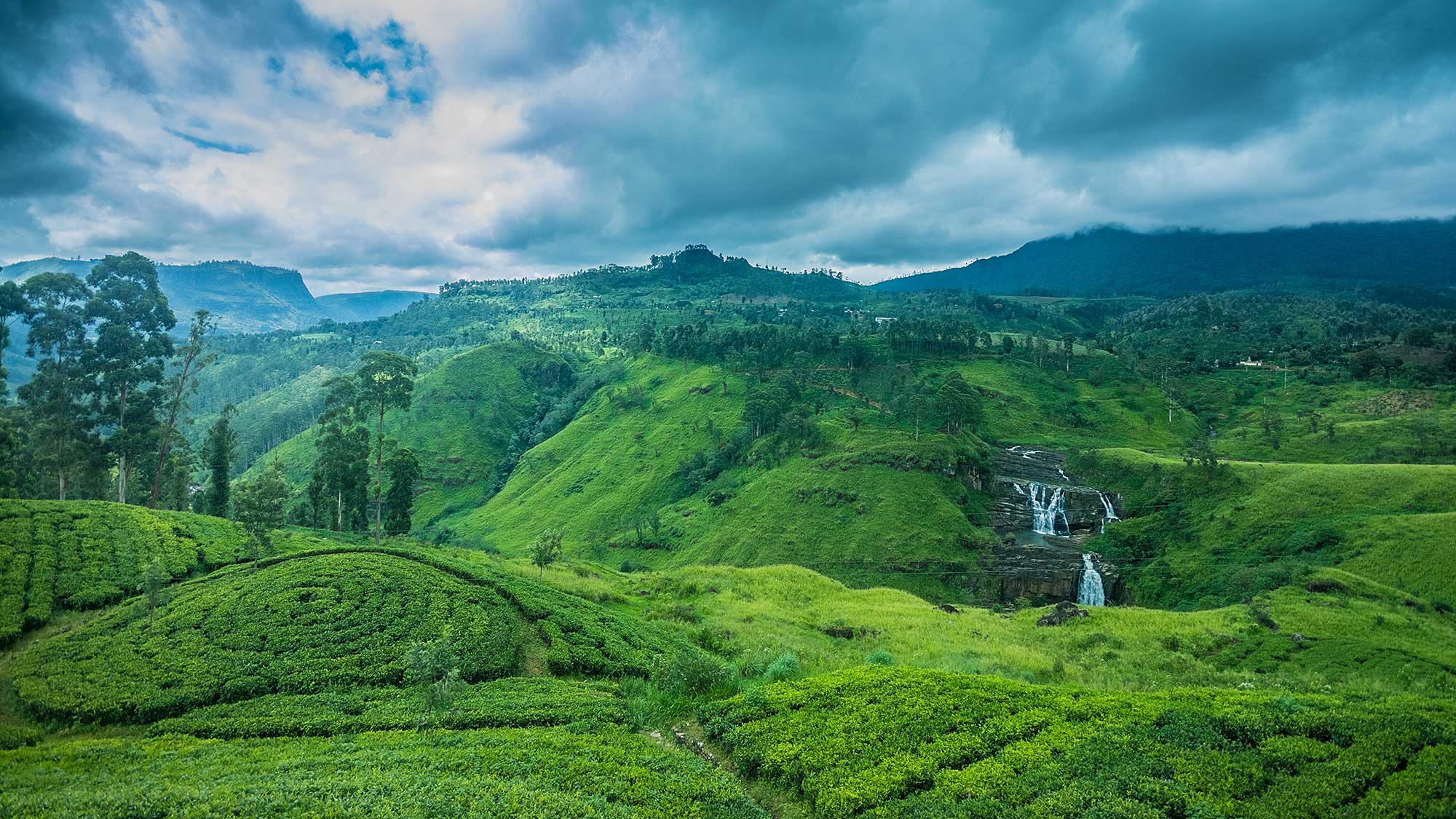 Holiday Packages, Travel Itineraries, Things to do, Sri Lanka, Sphere 360 Travel