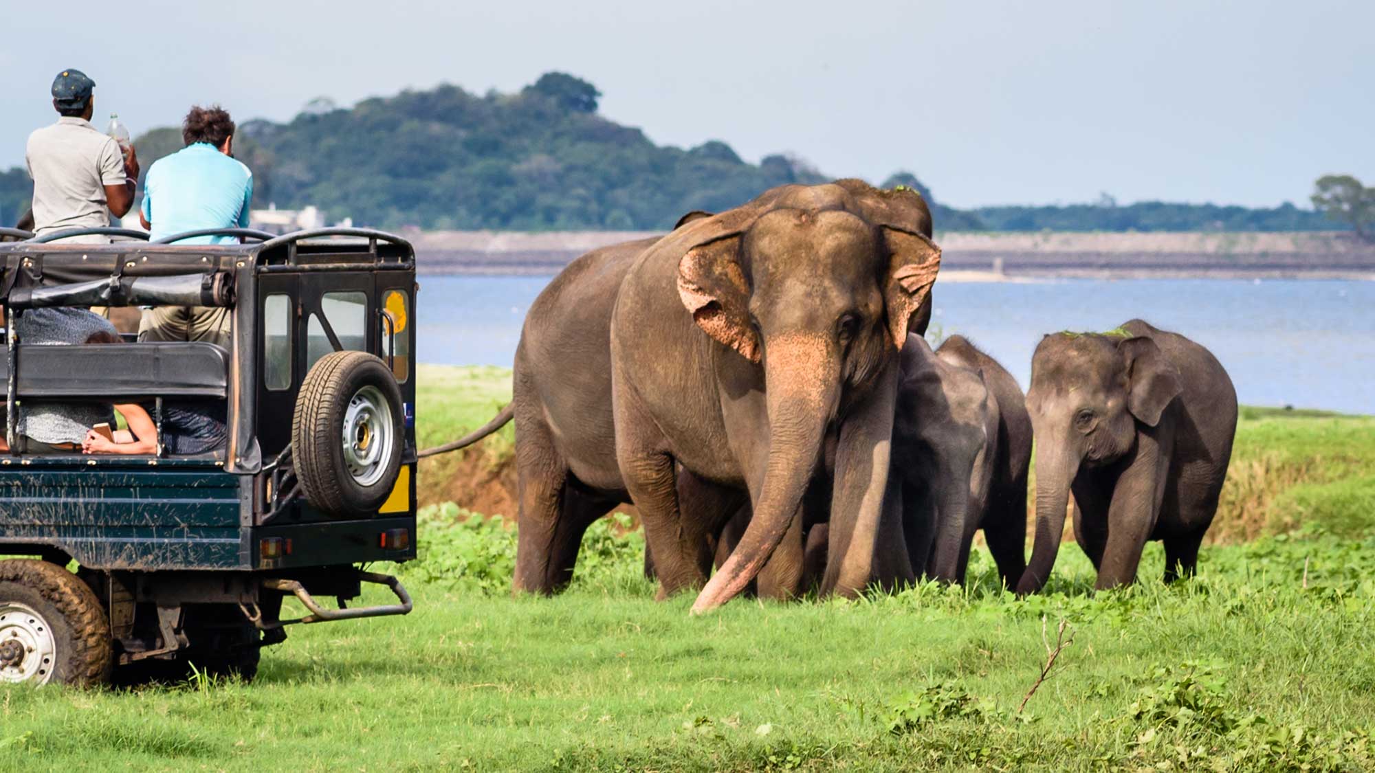 Holiday Packages, Travel Itineraries, Things to do, Sri Lanka, Sphere 360 Travel